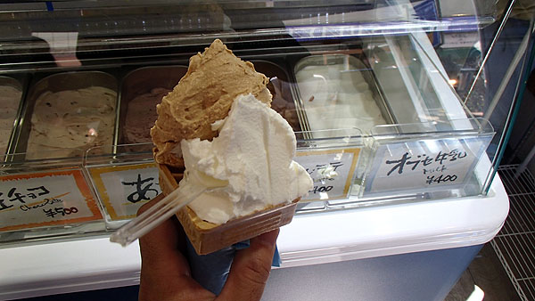 人生最高の美味しいジェラート